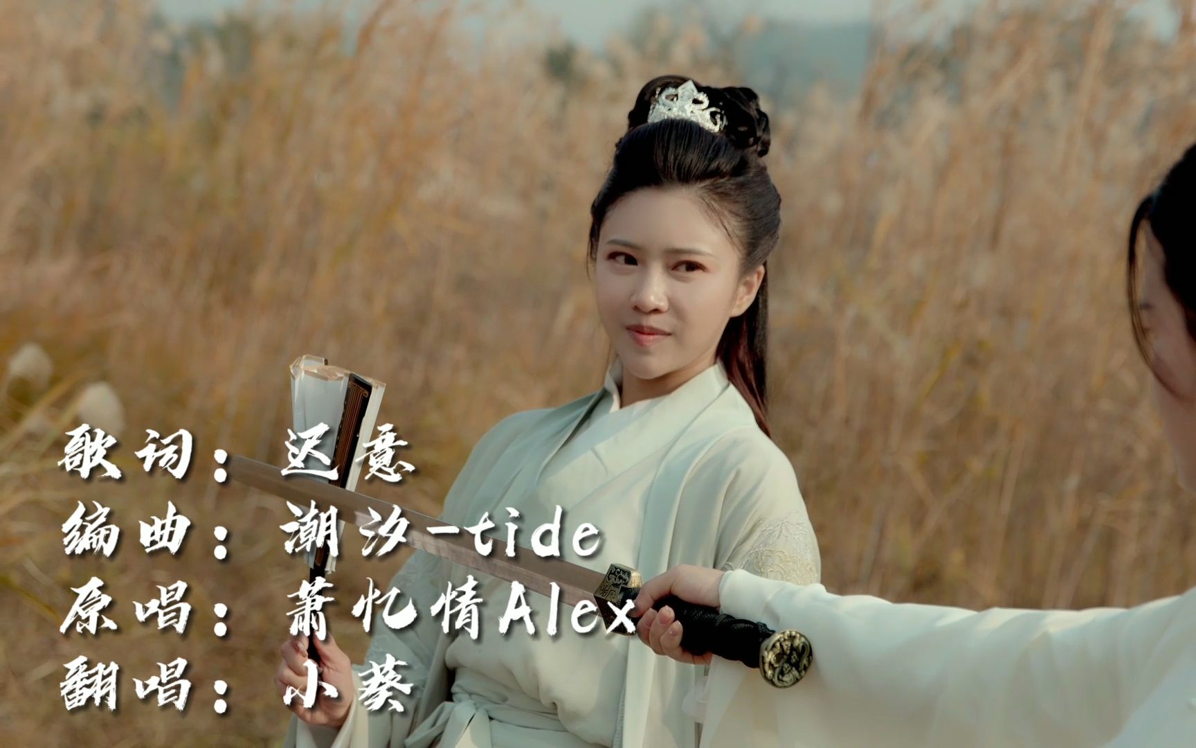 向江南折过花 对春风与红蜡~ 原创古风mv《不谓侠》 翻唱_哔哩哔哩