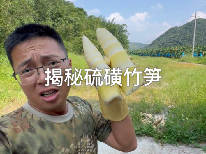 揭秘硫磺竹笋，二氧化硫含量惊人，这样的竹笋能吃吗？恳请当地彻查硫磺竹笋，保障食品安全