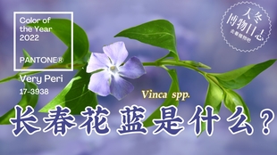 潘通发布22年度代表色 长春花蓝 哔哩哔哩 つロ干杯 Bilibili