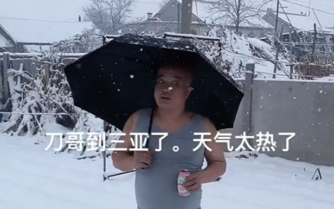 【补档】雪中悍虎行哔哩哔哩bilibili