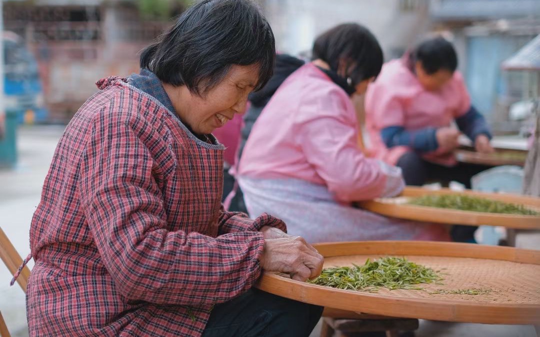 [图]这个春天，和我一起品尝来自大自然的鲜意