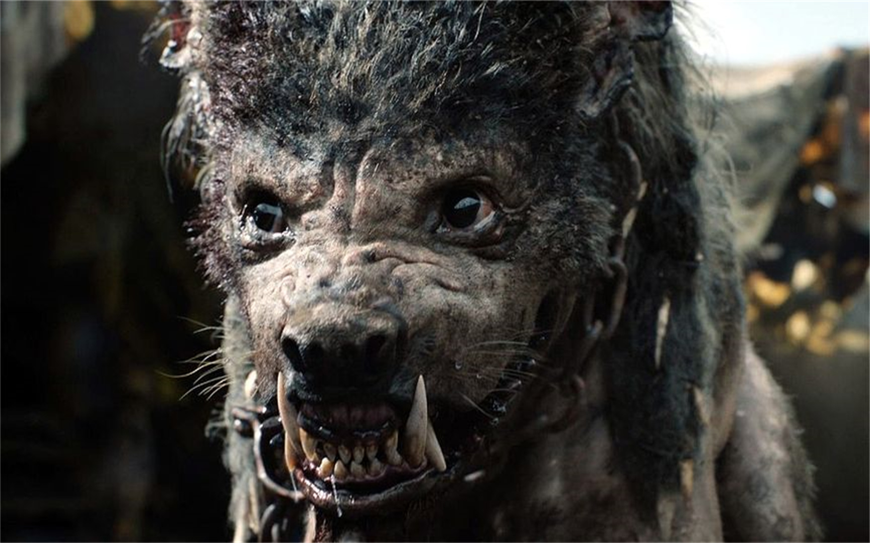 2022最新魔幻史诗《指环王:力量之戒》半兽人召唤残暴座狼丨精彩解说