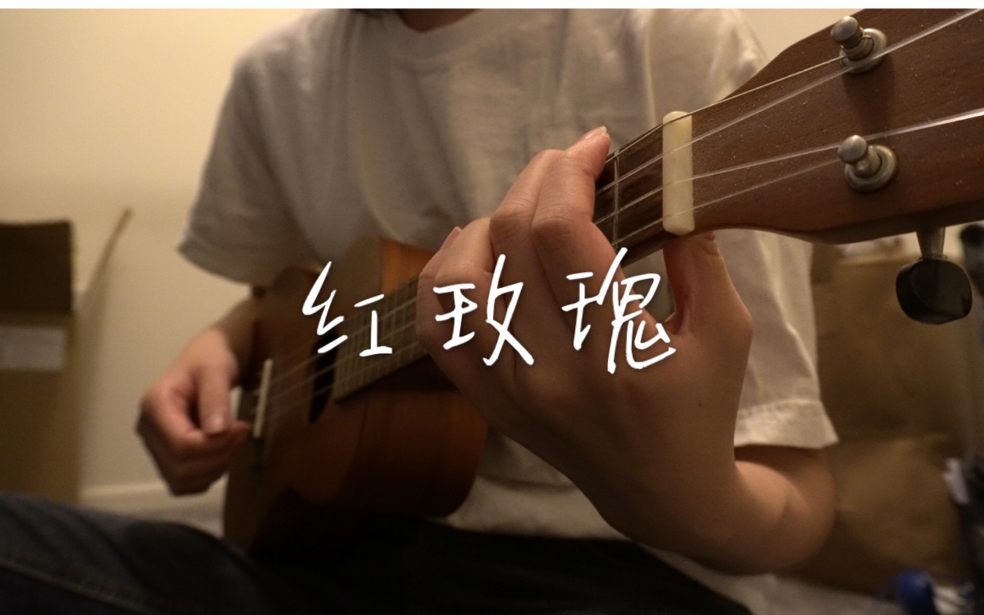 尤克里里指弹红白玫瑰陈奕迅