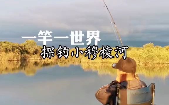 难得有时间,探钓乌苏里江小穆棱河河口哔哩哔哩bilibili