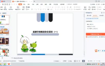 [图]必修2第一章第1节 孟德尔的豌豆杂交实验（一）1