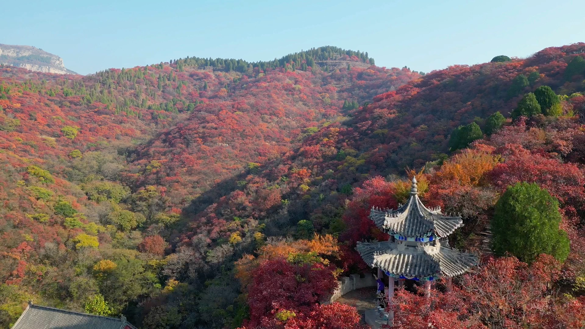 [图]正值深秋，济南市章丘莲花山万山红遍层林尽染