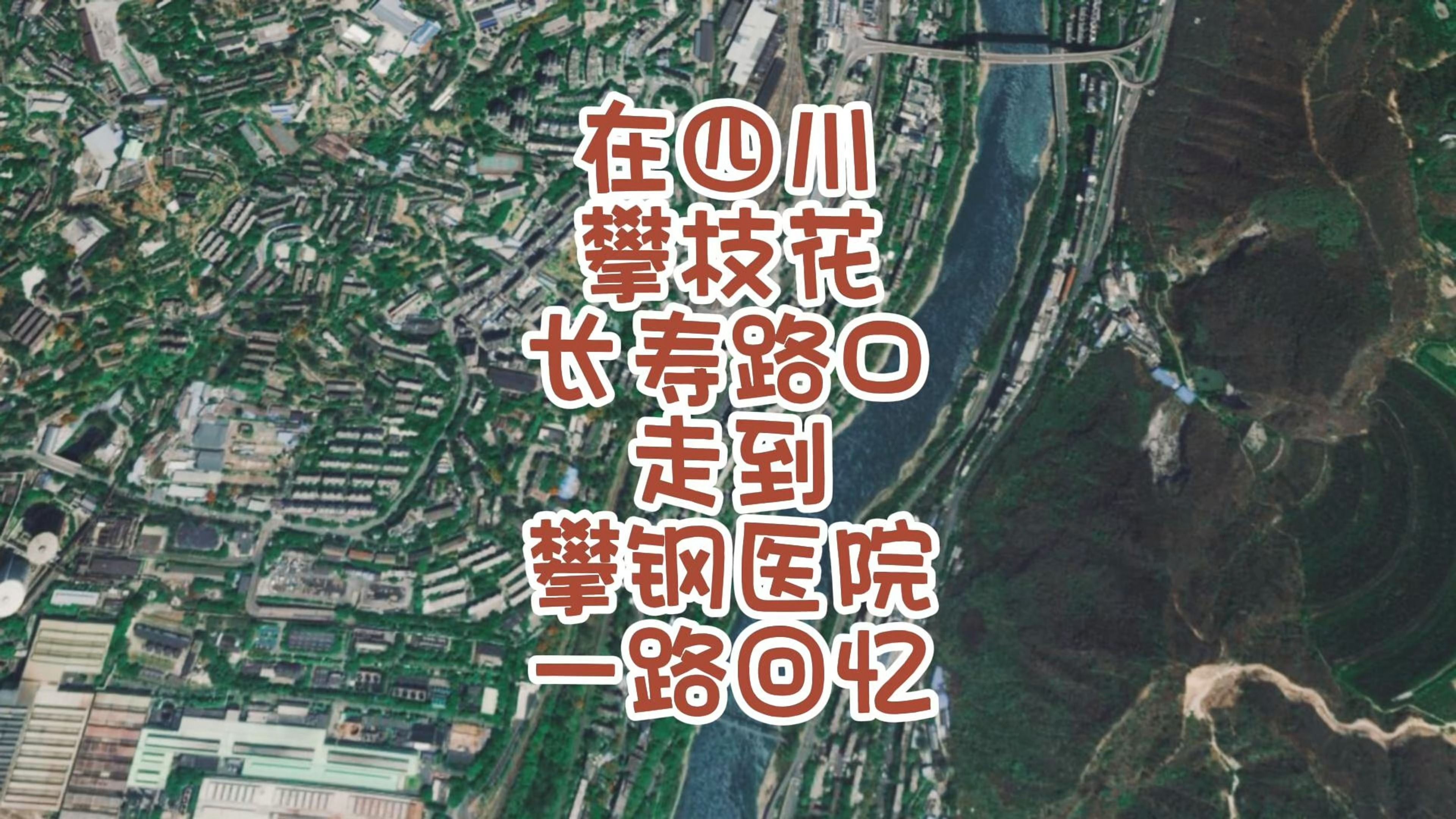 在四川攀枝花长寿路口走到攀钢医院一路回忆哔哩哔哩bilibili