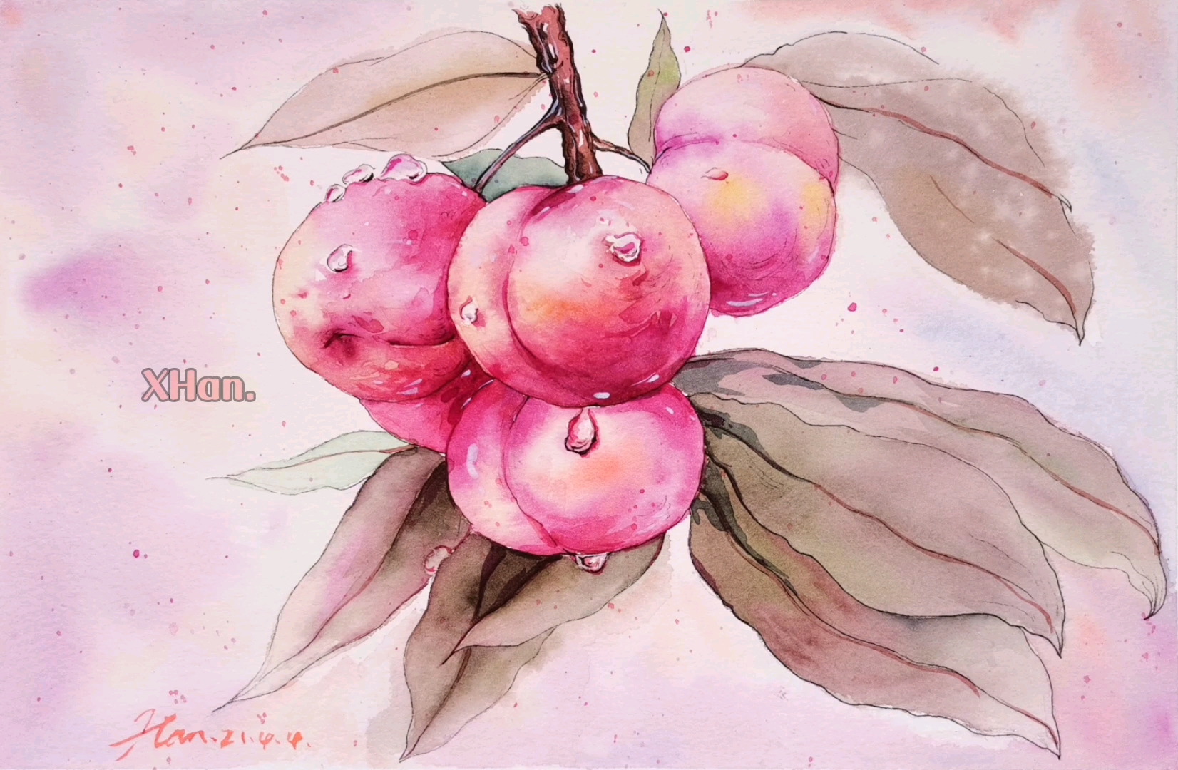 【水彩】水彩单体——李子绘画