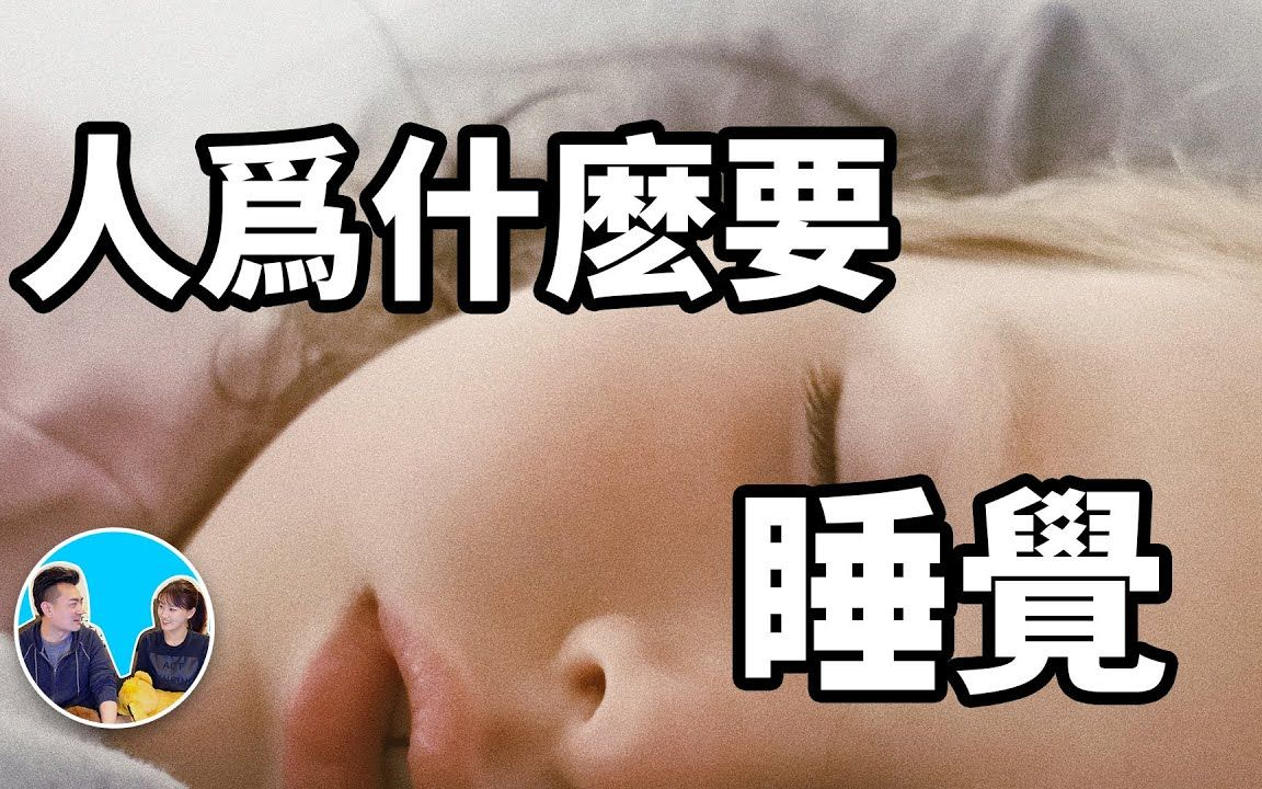 [图]【睡前小故事】(搬运·老高与小茉)合集 睡眠