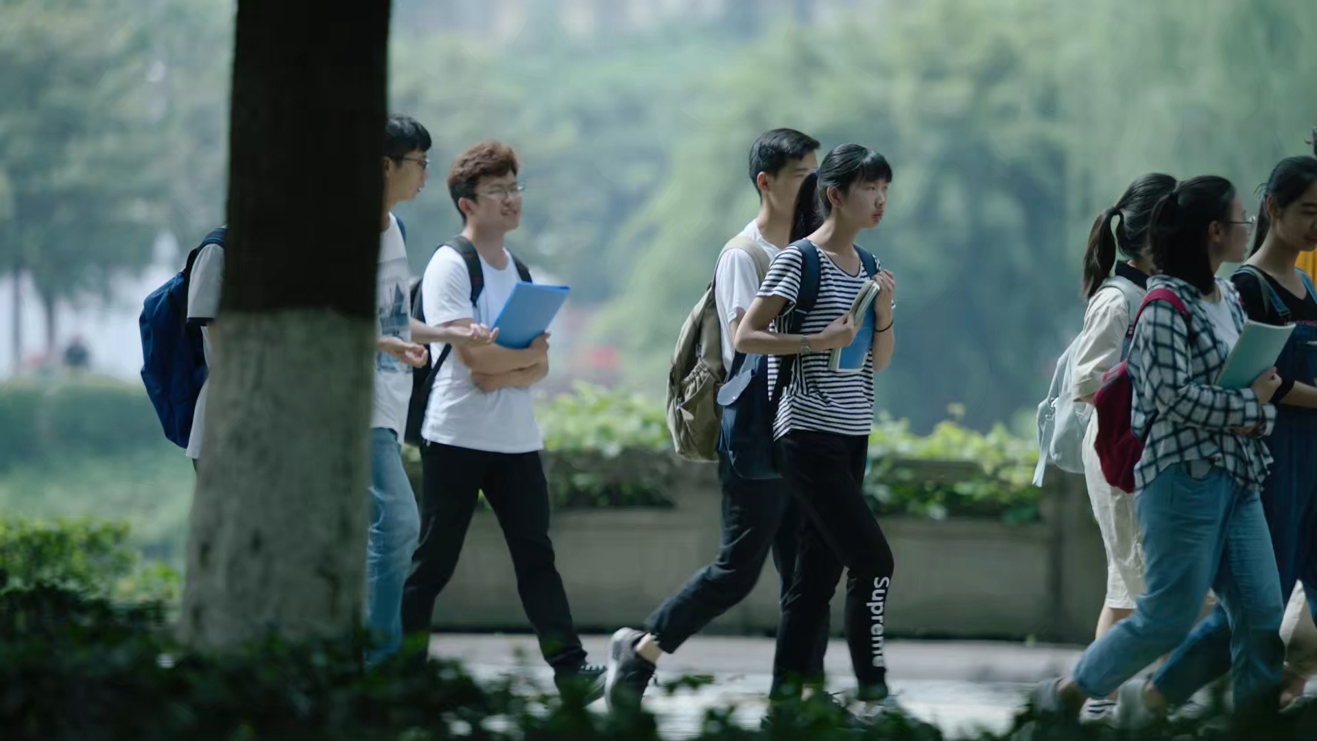 大学生青春校园散步走路视频素材丨编号：057