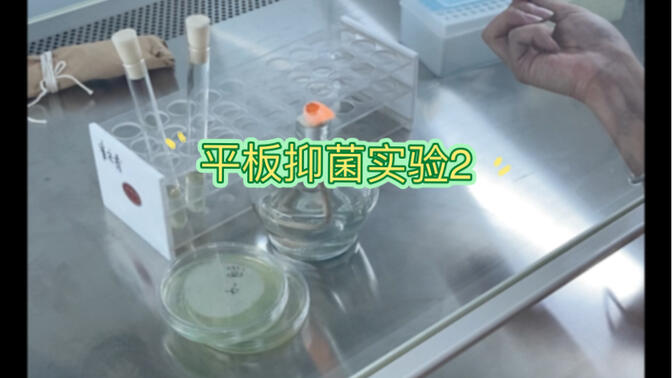 【实验】平板抑菌实验2:菌液纯化,打孔法