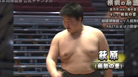 搜索 哔哩哔哩 つロ干杯 Bilibili