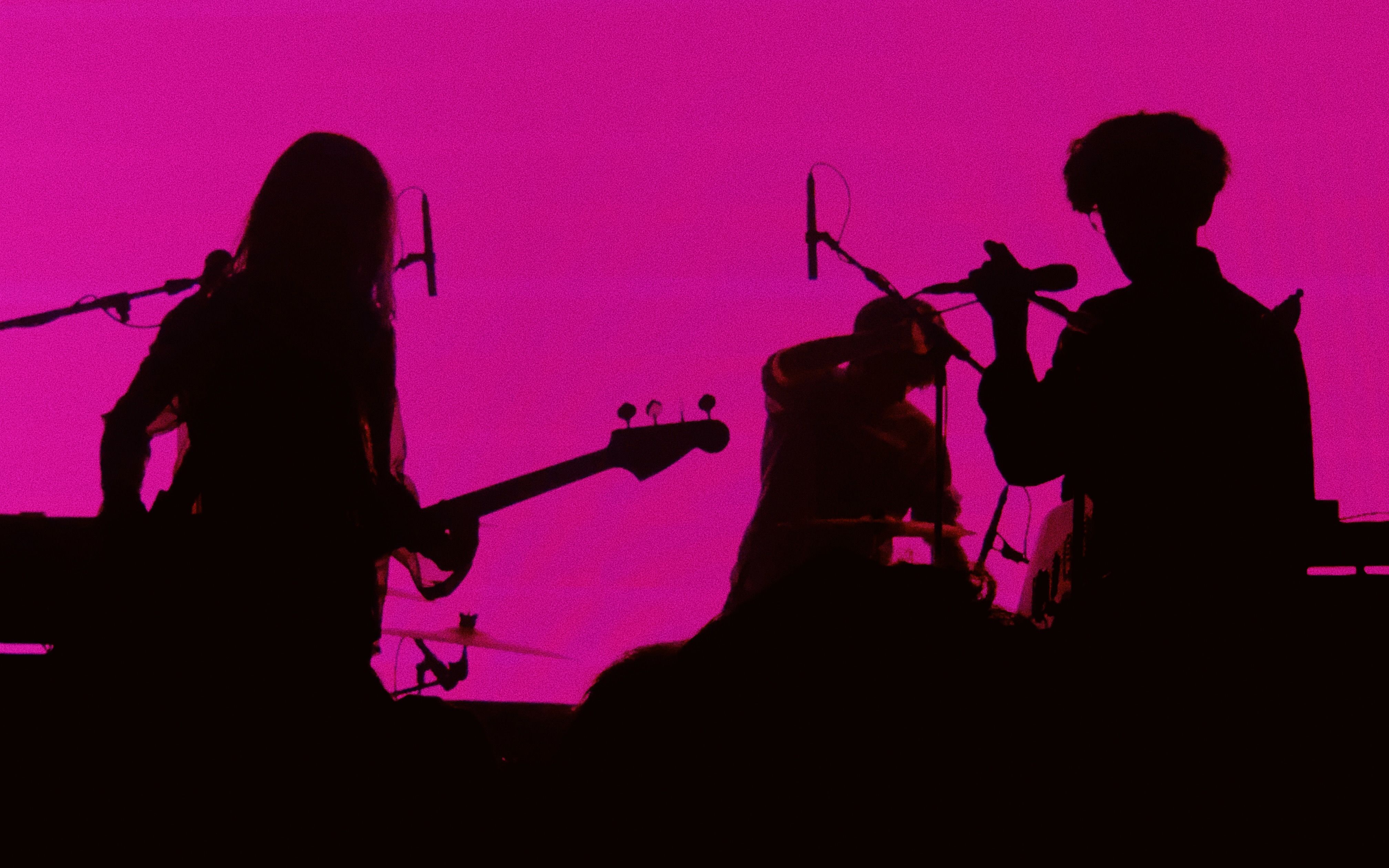 霓虹花园—霓虹花园