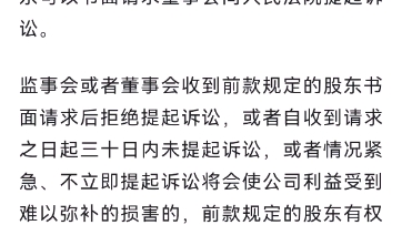 2024版公司法189 条第4款/股东代表诉讼的扩张/张海峡老师哔哩哔哩bilibili