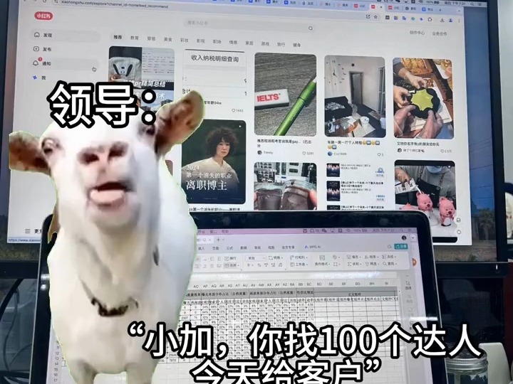 小红书 | 媒介挑战下班前用10分钟找100个达人!哔哩哔哩bilibili