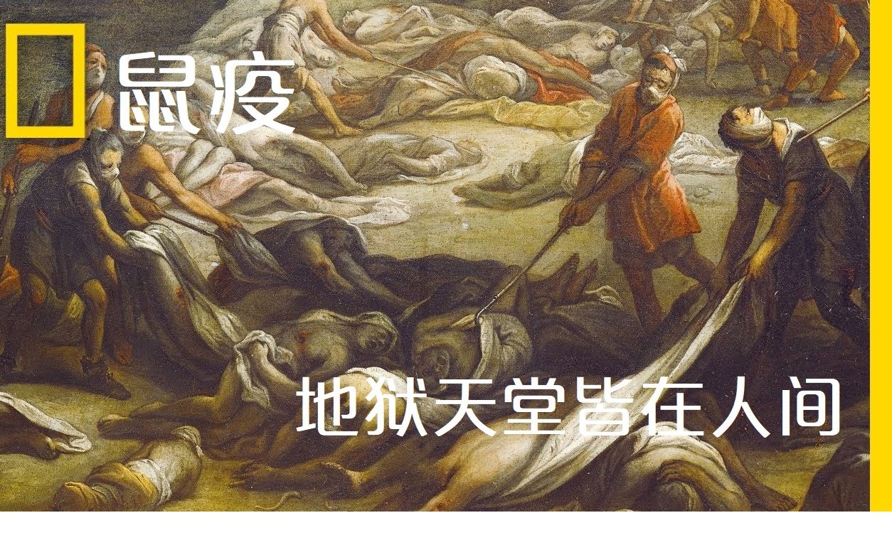 【互动抽奖】被列为我国两大甲类传染病之一的鼠疫 到底有多可怕?