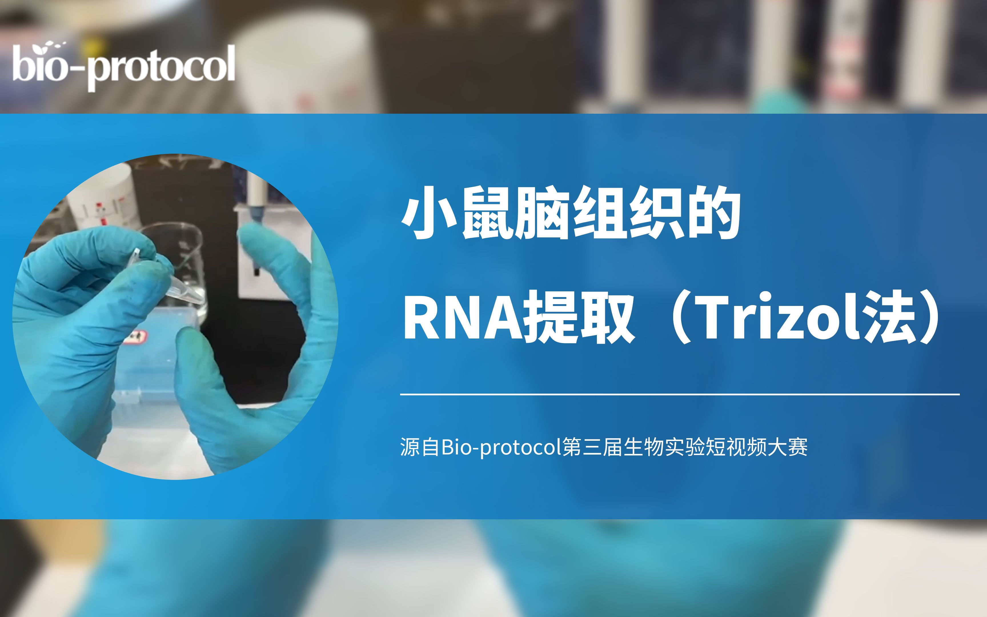 Mouse brain RNA extraction using Trizol method