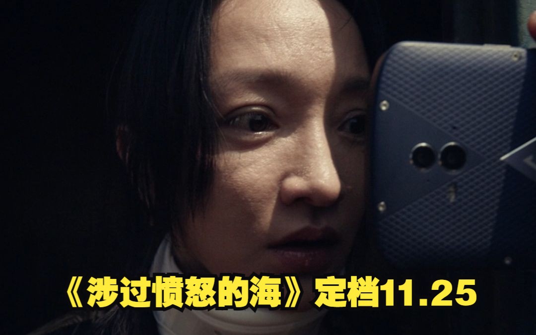 黄渤周迅主演电影《涉过愤怒的海》定档11.25哔哩哔哩bilibili