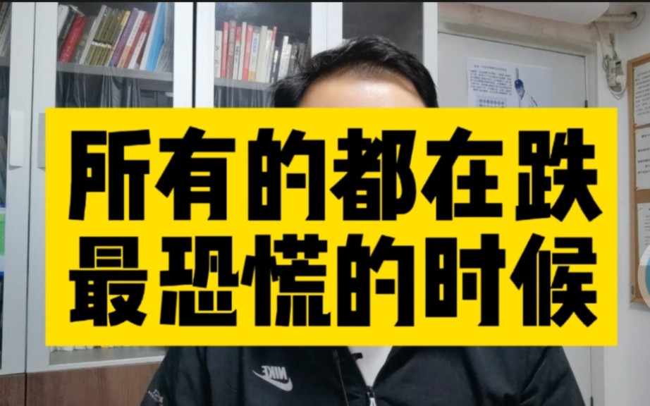 刘晖(203)所有优秀的公司都在跌,现在就是最恐慌的时候.哔哩哔哩bilibili