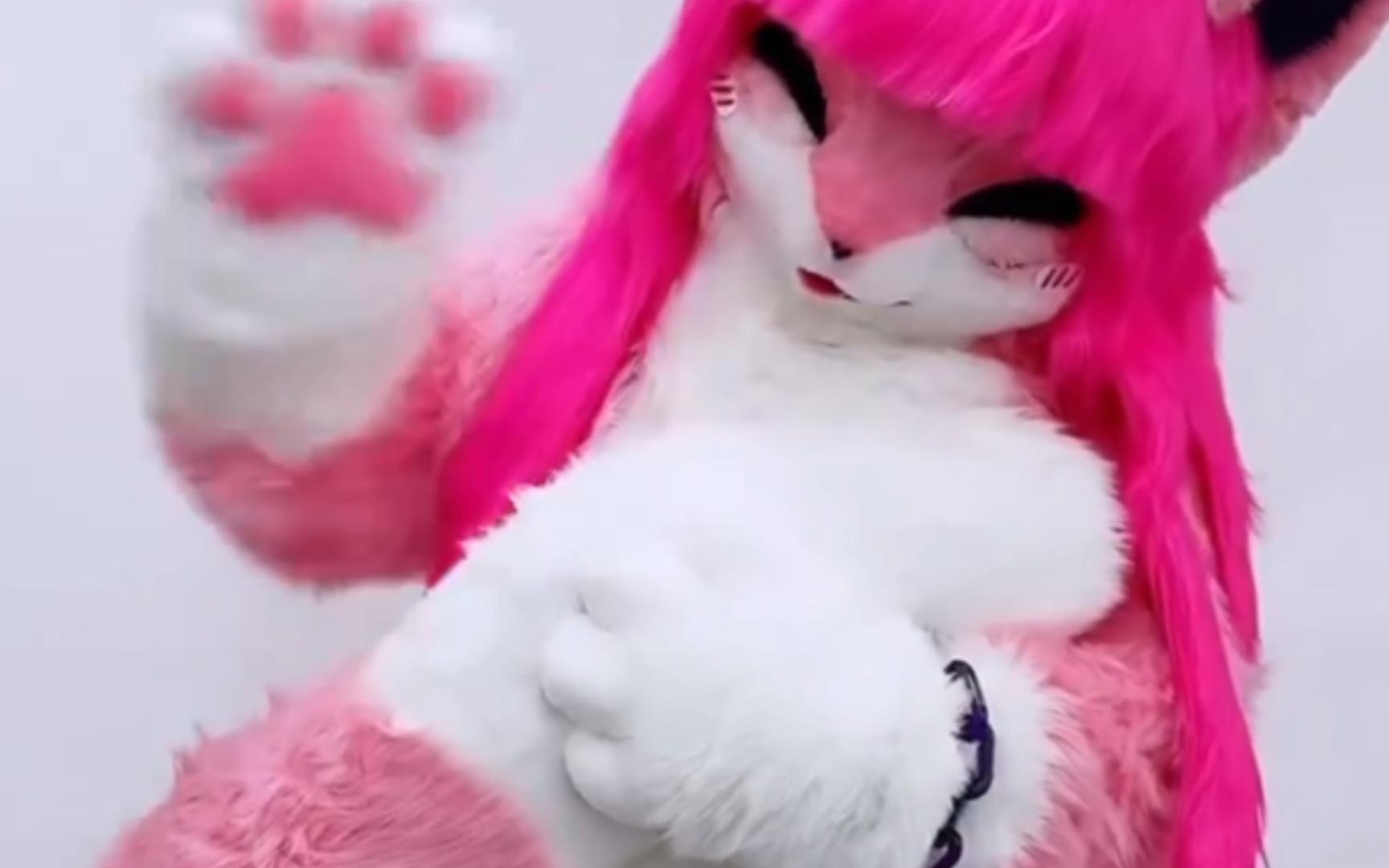 【兽装展示】刚领养回来浑身粉色的猫咪宠物兽人