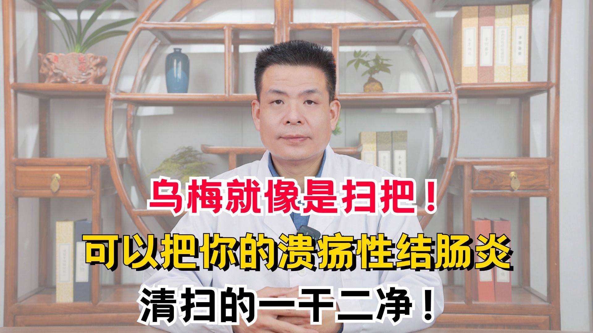 乌梅就像是扫把!可以把你的溃疡性结肠炎,清扫的一干二净!哔哩哔哩bilibili