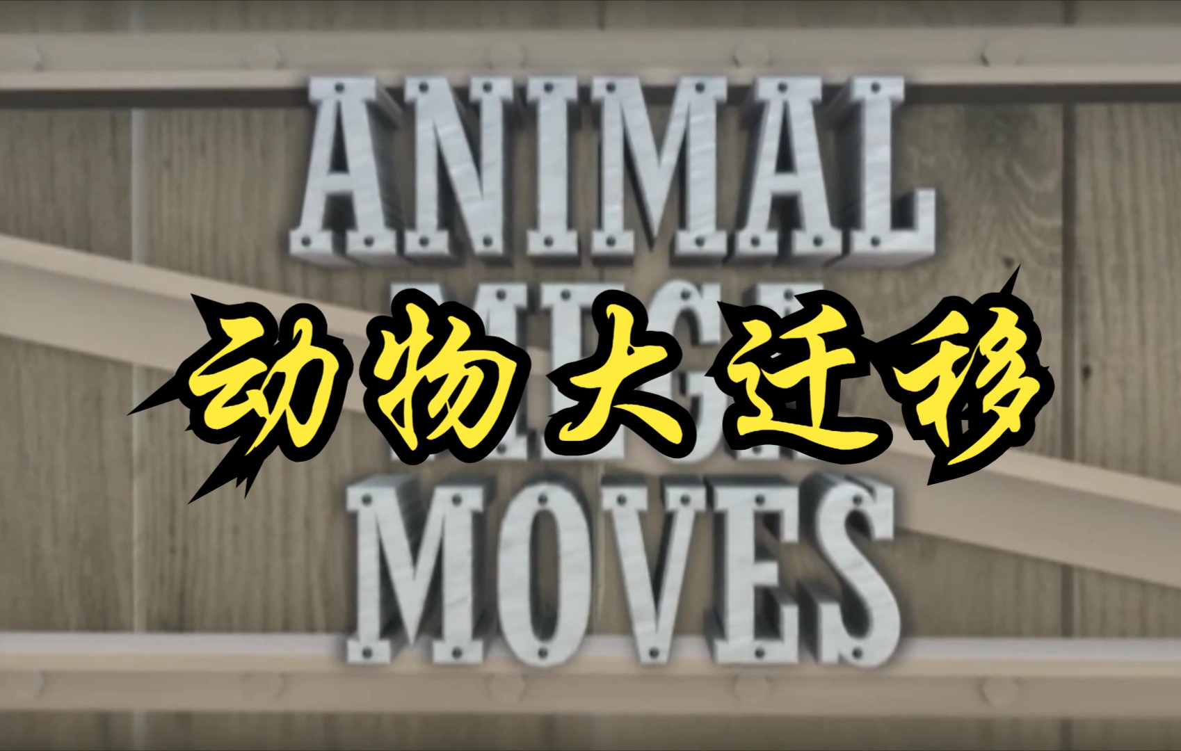 【英国】【纪录片】动物大迁移 Animal migration哔哩哔哩bilibili