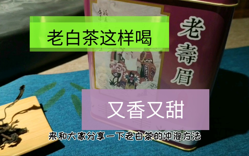 老白茶如何冲泡?品2009年老白茶,这样冲又香又甜2分钟学会哔哩哔哩bilibili