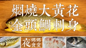 焖烧大黄花 金頭鲷刺身 夜妈妈食堂 哔哩哔哩 つロ干杯 Bilibili