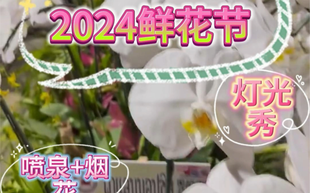 2024鲜花节,灯光秀:烟花+喷泉哔哩哔哩bilibili