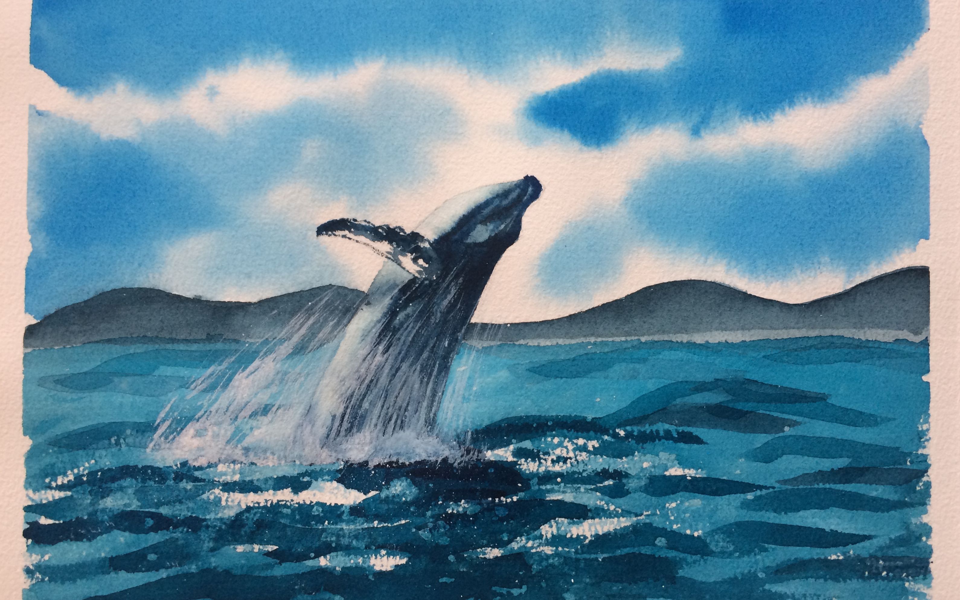 【画画】水彩 鲸
