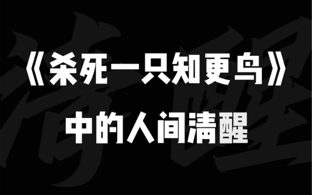 杀死一只知更鸟中的人间清醒哔哩哔哩bilibili