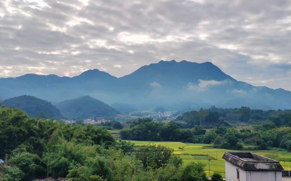 [图]“我一个人吃饭旅行，到处走走停停，也一个人看书写信，自己对话谈心”