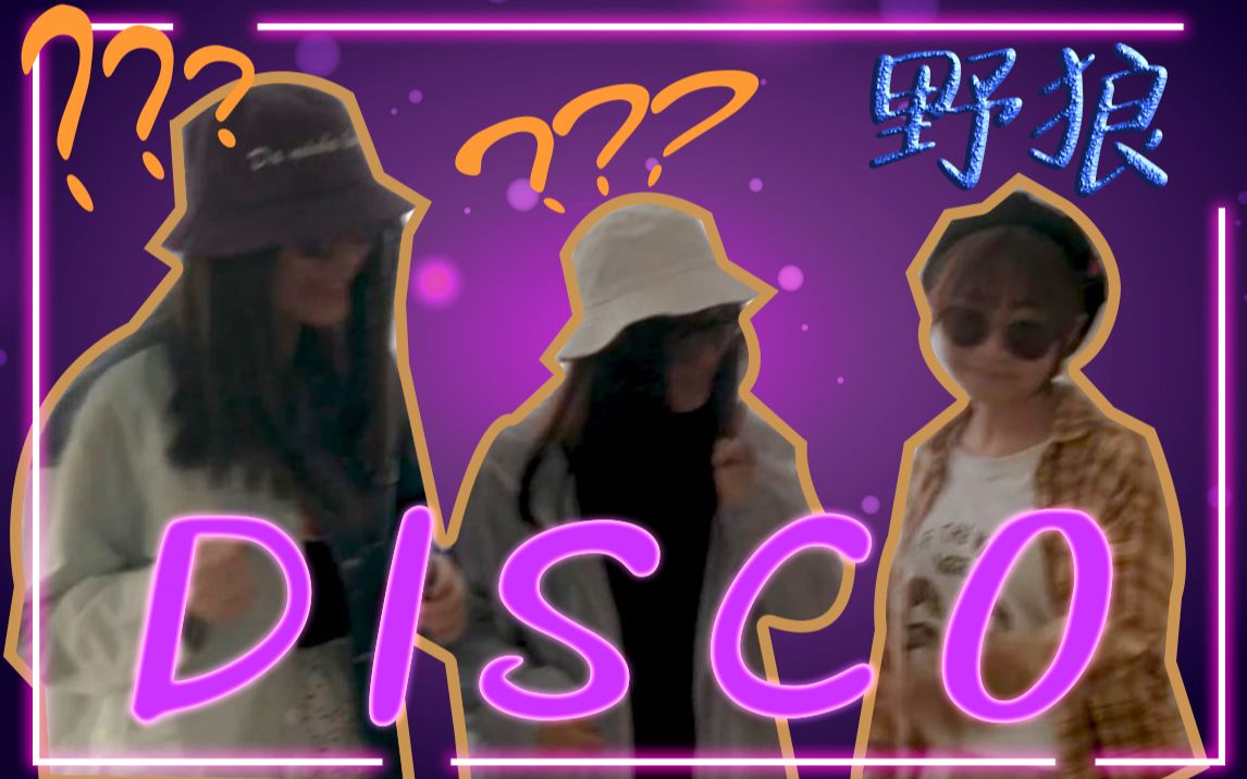 野狼disco女生宿舍沙雕版