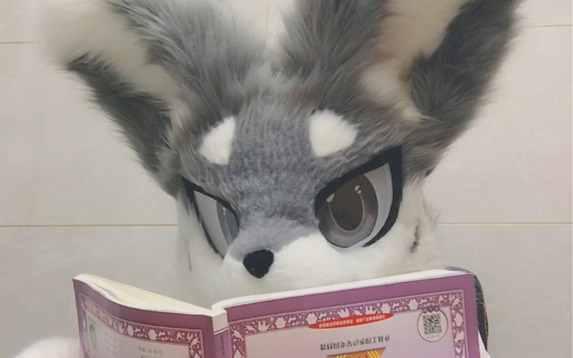 [图]封 控 福 瑞 的 精 神 状 态 furry丨fursuit