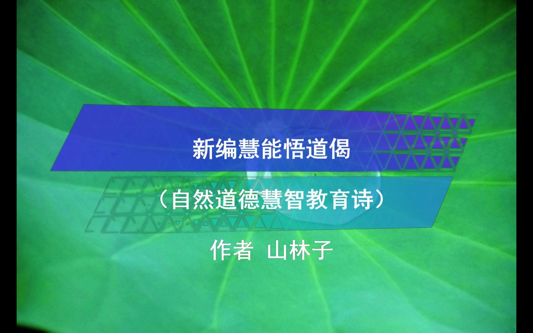 《新编慧能悟道偈》鹤清 朗读 山林子自然道德慧智教育诗哔哩哔哩bilibili