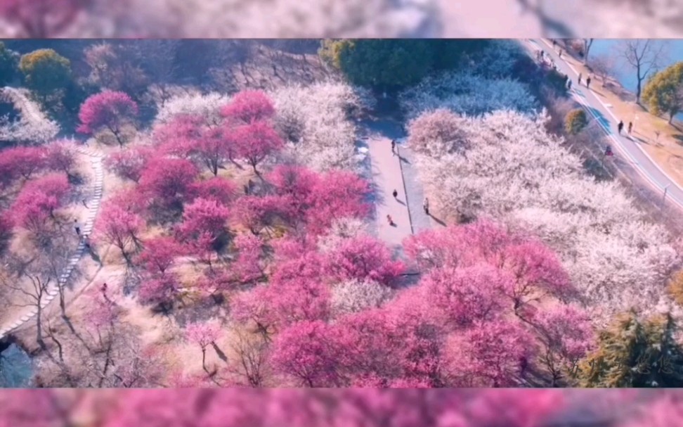 苏州评弹《春江花月夜》,春江潮水连海平,海上明月共潮生.滟滟随波千万里,何处春江无月明!江流宛转绕芳甸,月照花林皆似霰.空里流霜不觉飞,...