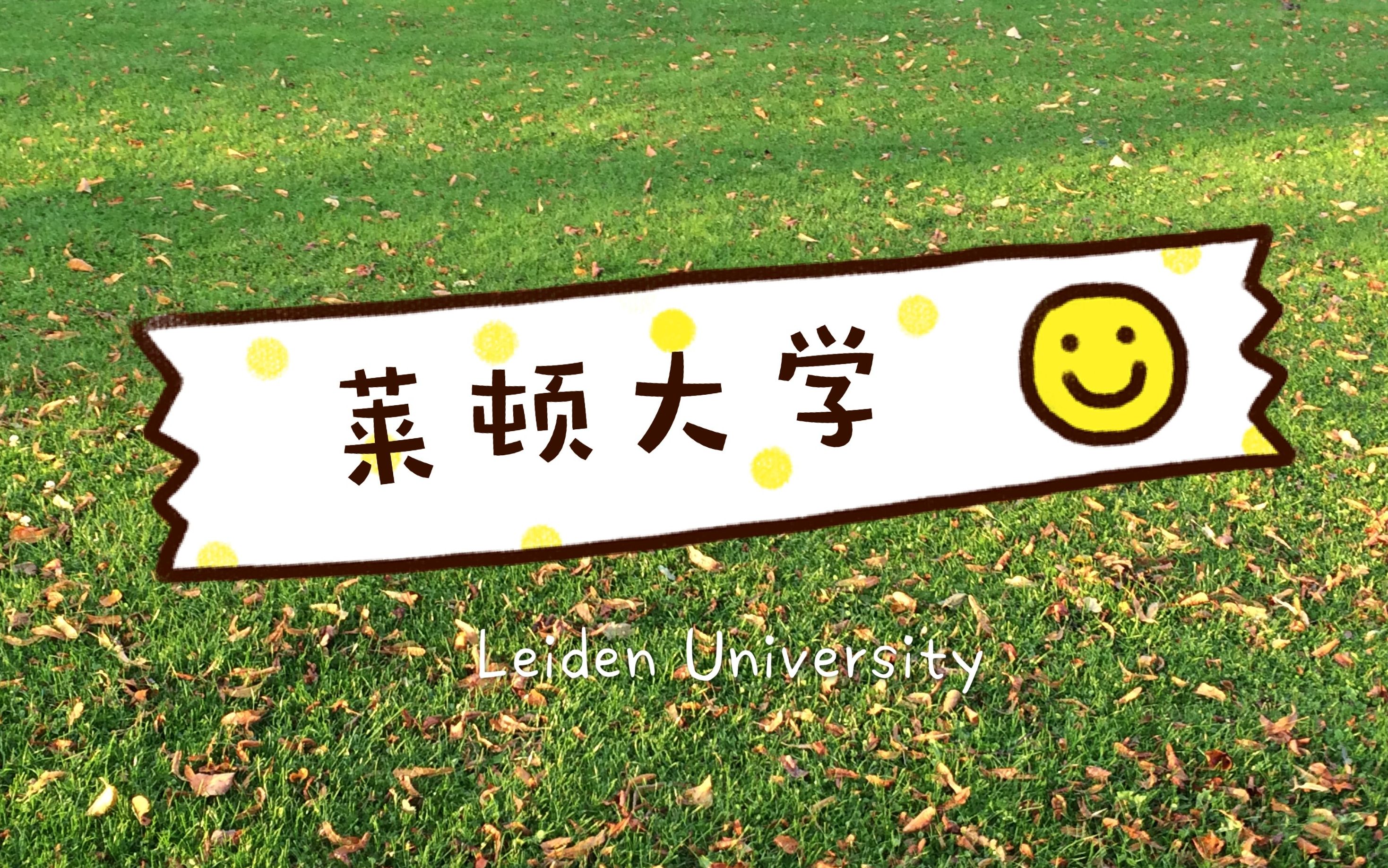 【荷兰留学】王室成员的选择——莱顿大学硕士申请介绍哔哩哔哩bilibili