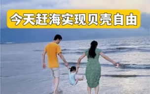 Descargar video: 你见过整个沙滩全都是贝壳吗？今天赶海实现了一把贝壳自由，捡都捡不完。客家嫁潮汕定居深圳，回农村老家的真实生活是怎样的？