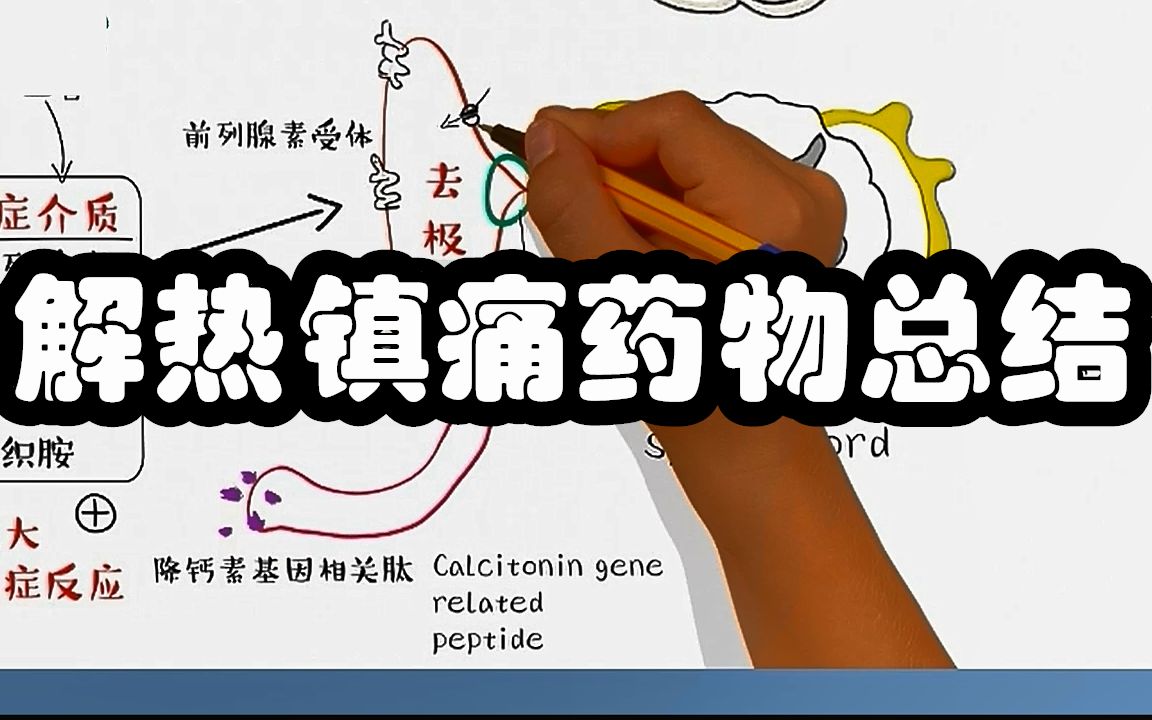 [图]医学带背7分钟 解热镇痛药物总结