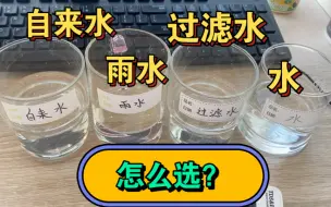 Descargar video: 草莓怎么选择水，怎样浇水？浇水施肥，从细节把握收获