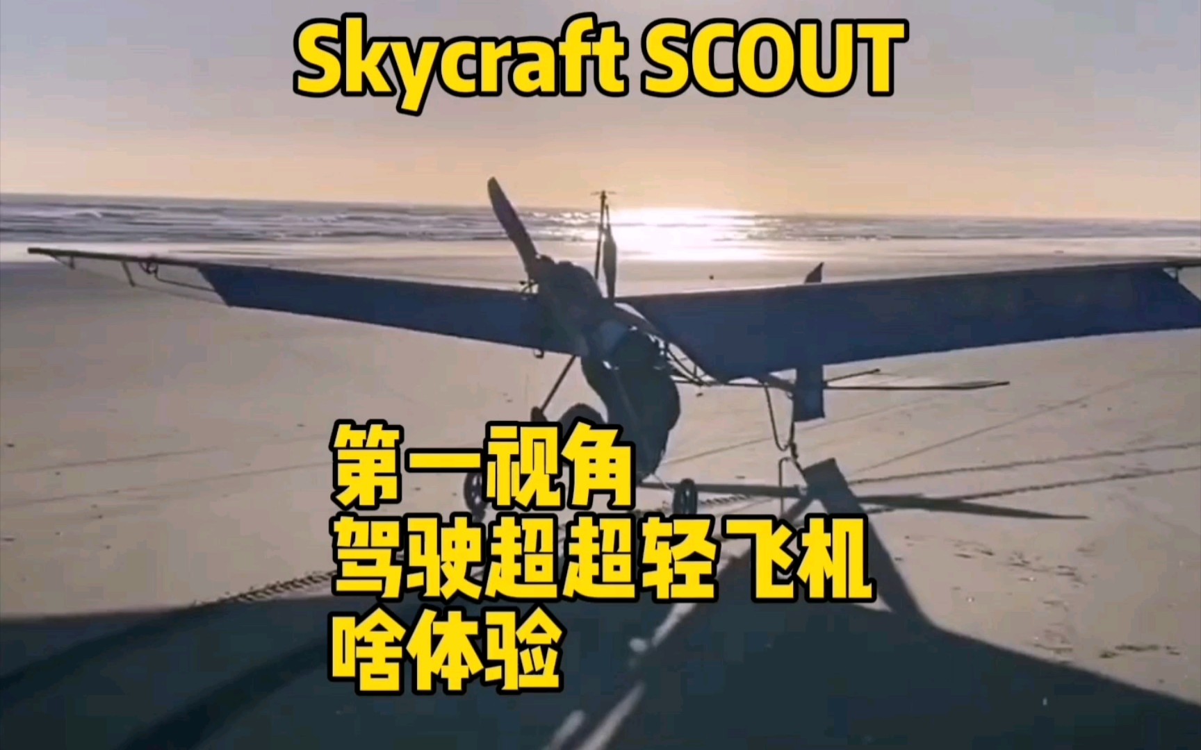 简单刺激!带你第一视角驾驶最轻的超轻型飞机Skycraft Scout哔哩哔哩bilibili