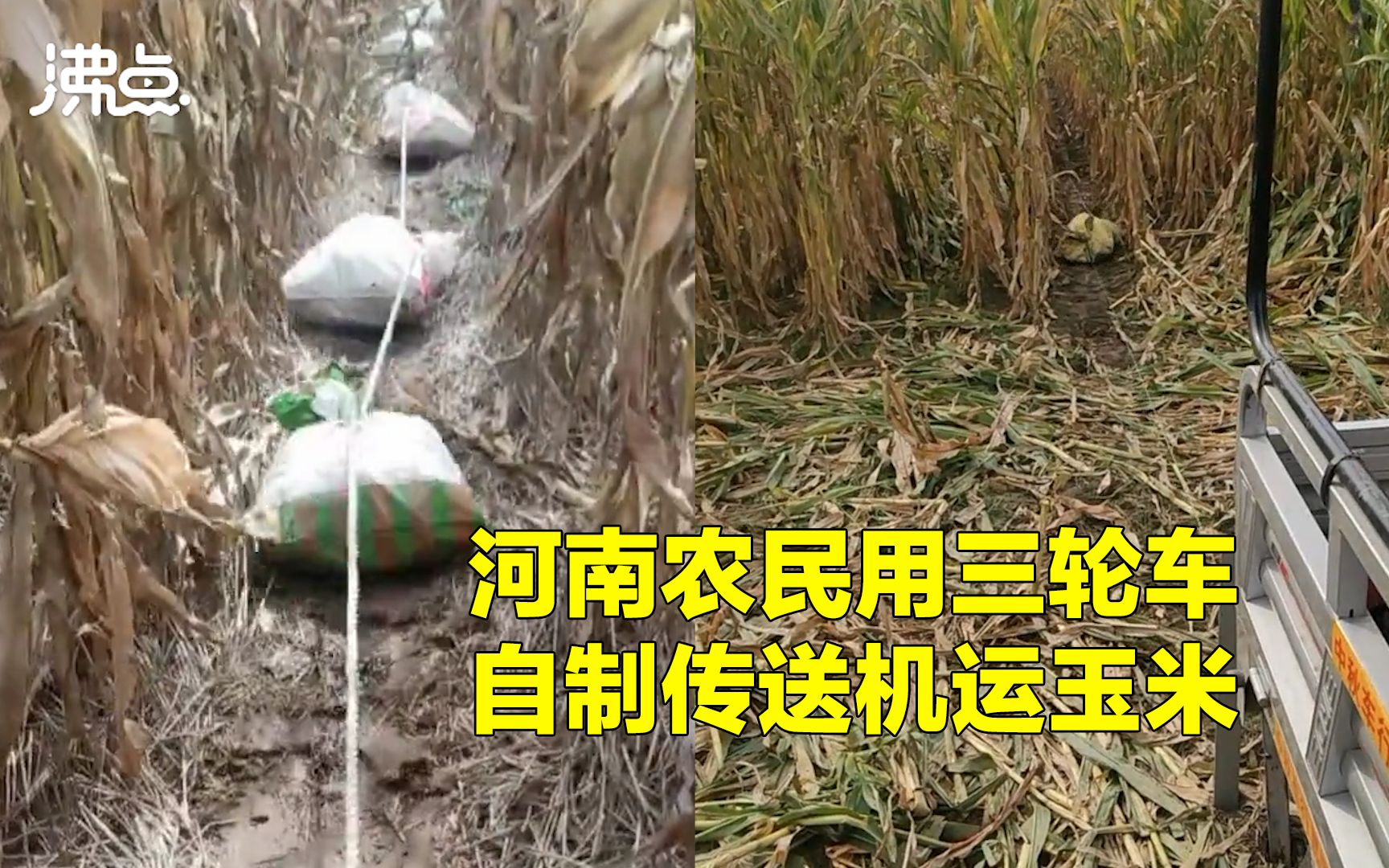 雨后机械设备无法下地 河南农民用三轮车自制传送机运玉米哔哩哔哩bilibili