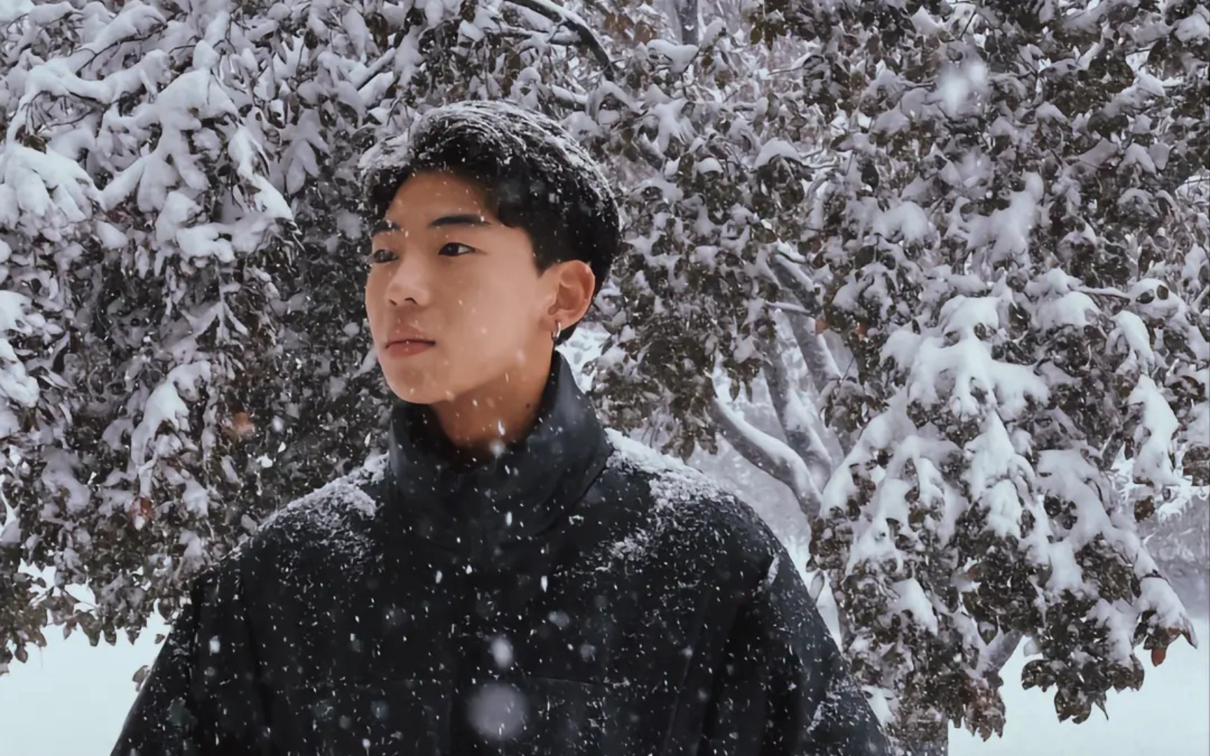 "做一朵带刺的玫瑰吧,高彦"_哔哩哔哩_bilibili