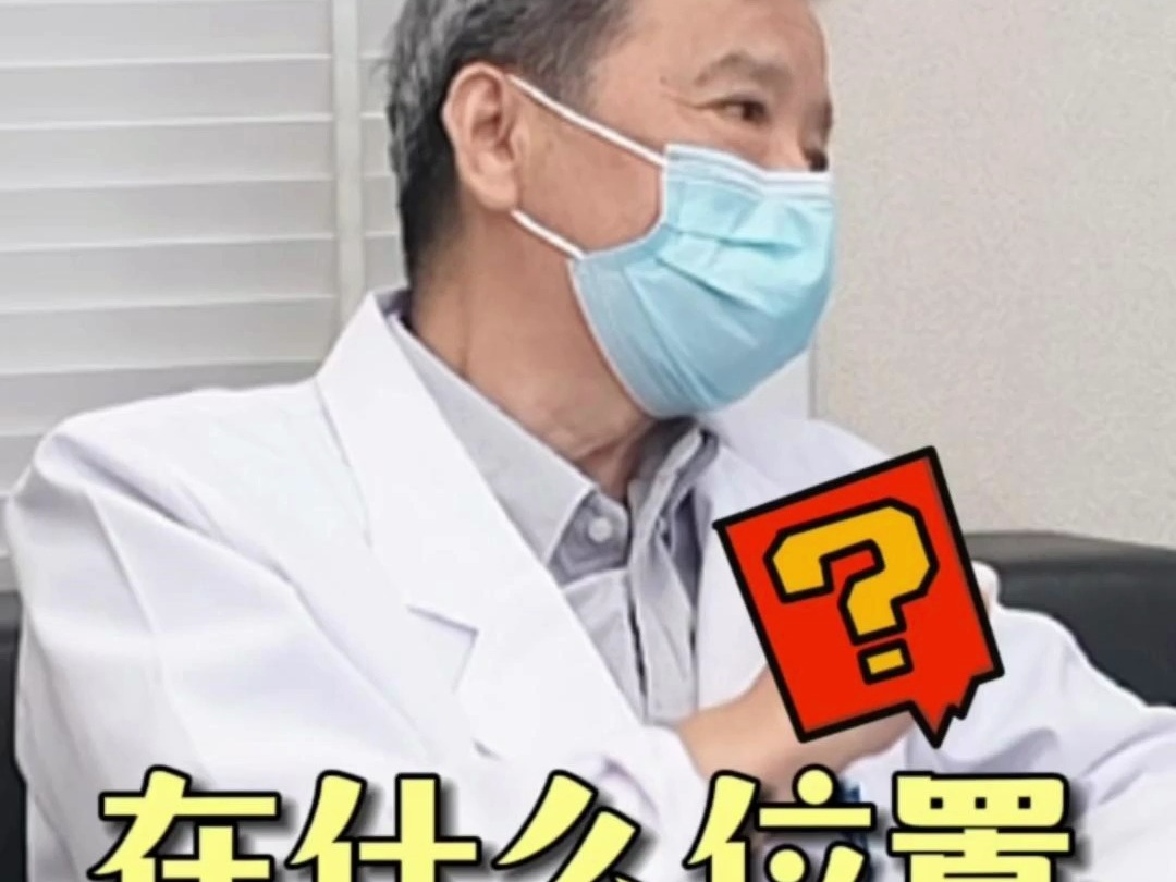 自体脂肪增粗中的脂肪填充在什么位置?