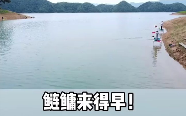 钓鲢鳙的季节来啦!＂钓鱼技巧 ＂我爱钓鱼 ＂休闲野钓哔哩哔哩bilibili