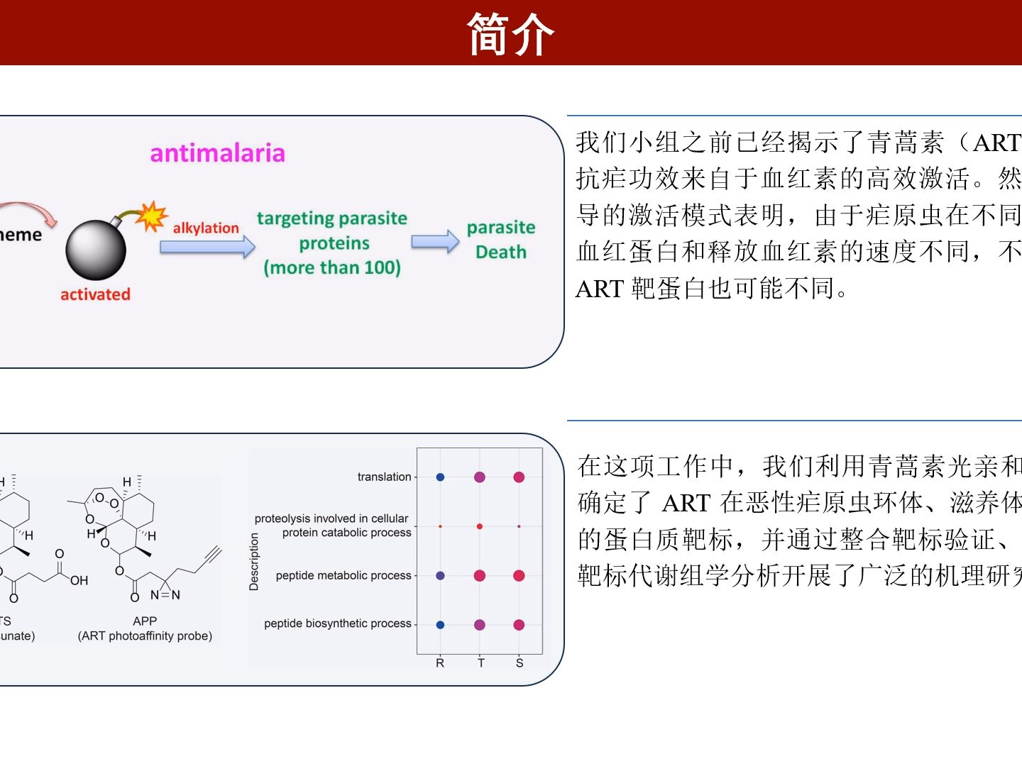 iMeta |中国中医科学院青蒿素研究中心基于光亲和标记策略鉴定青蒿素在恶性疟原虫红细胞内期中的抗疟靶标哔哩哔哩bilibili