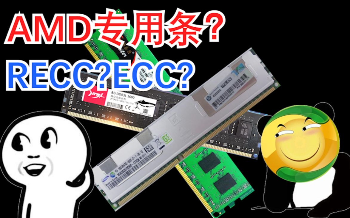 【老弟】内存贩子的秘密ECC与RECC,AMD专用条都是啥东西?寨条能不能买?ECC纠错是啥原理?哔哩哔哩bilibili