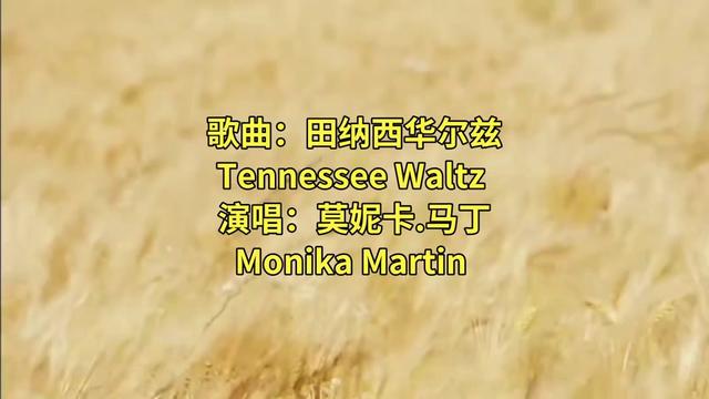 [图]歌曲:田纳西华尔兹Tennessee Waltz  演唱:莫妮卡·马丁Monika Martin