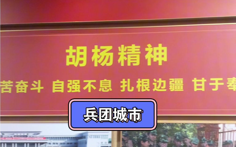 科普:新疆生产建设兵团共有14个师、12个兵团城市.#新疆哔哩哔哩bilibili