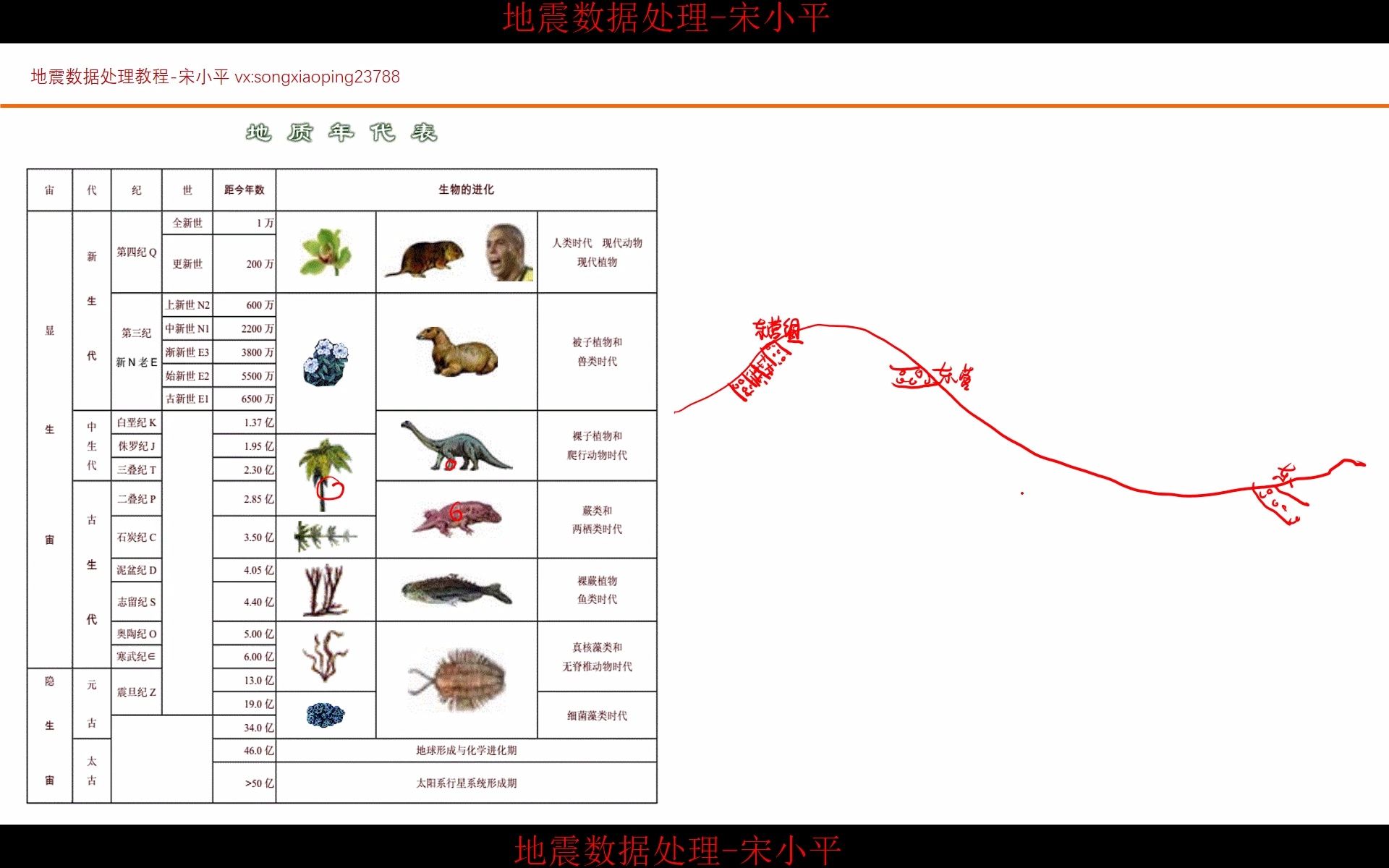 地震资料处理全流程实战:03石油是怎么勘探的哔哩哔哩bilibili